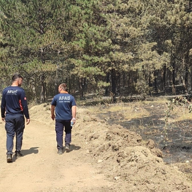 Sinop'taki orman yangını kontrol altına alındı (2)