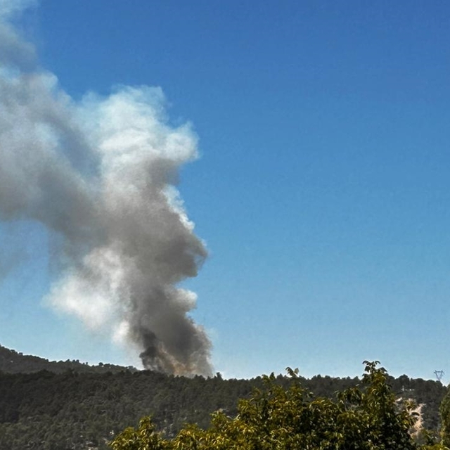 Denizli'de çıkan orman yangınına müdahale ediliyor