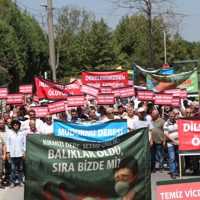 Sakarya'da vatandaşlar, fabrikaların Mudurnu Deresi'ni kirlettiği iddiasıyl...