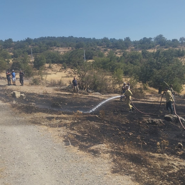 Balıkesir'in Burhaniye kırsalında çıkan arazi yangını söndürüldü
