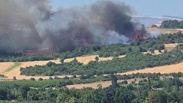 Çanakkale'de orman yangını