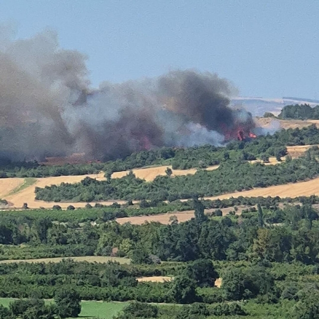 Çanakkale'de orman yangını