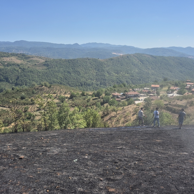 Düzce'de çalılık alanda çıkan yangın söndürüldü