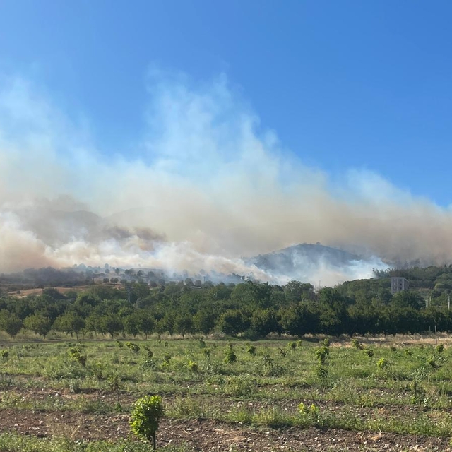 Sakarya'da makilik alanda çıkan yangına müdahale ediliyor