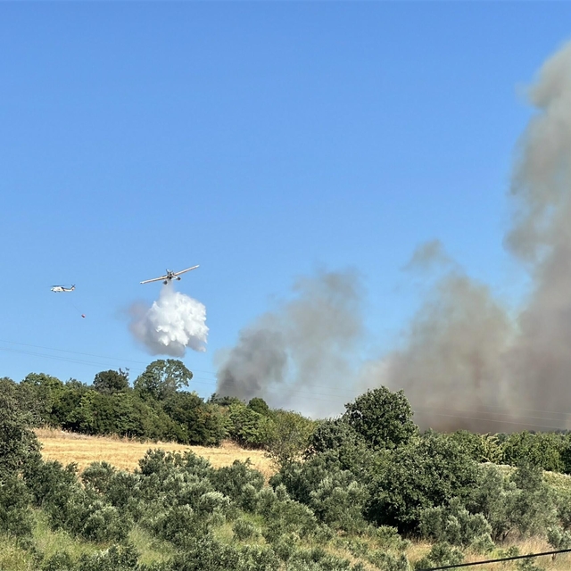Çanakkale orman yangını (2)