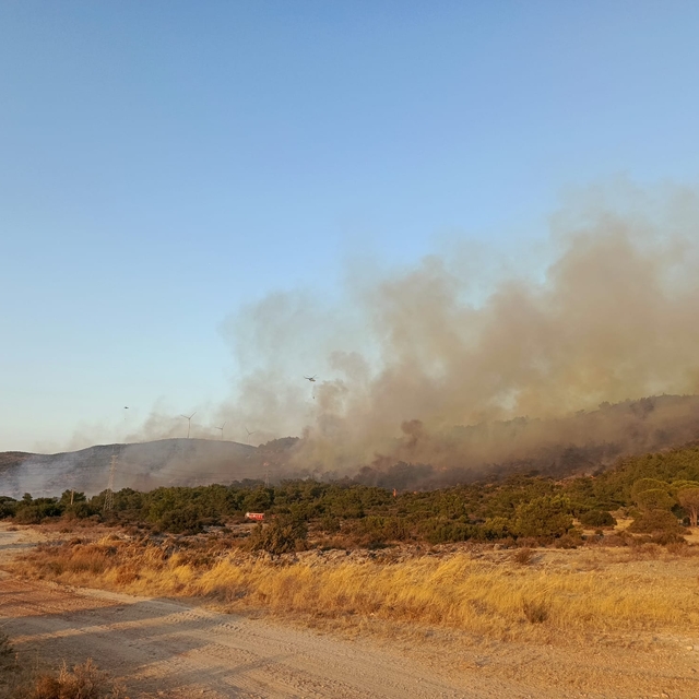 İzmir'de tarım alanında başlayan yangın ormana sıçradı