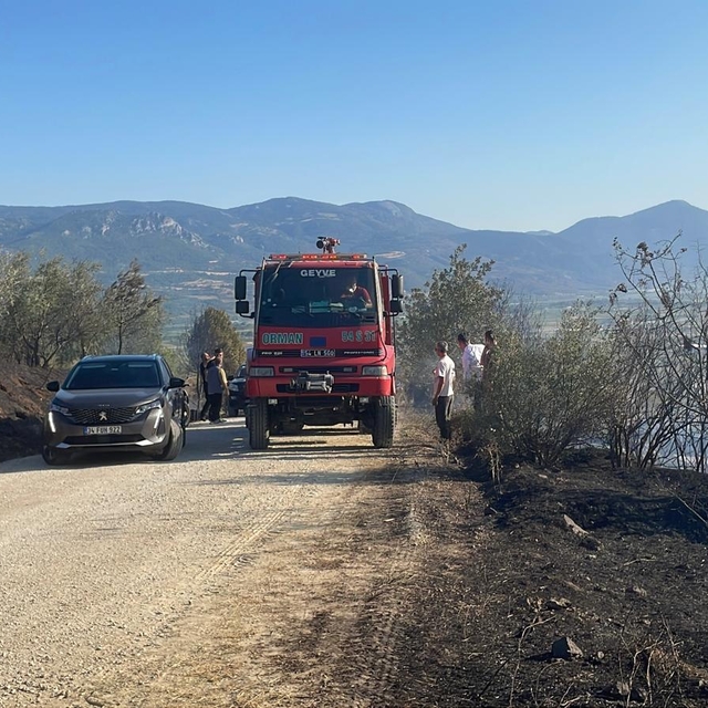 GÜNCELLEME - Sakarya'da makilik alanda çıkan yangın kontrol altına alındı