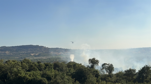 Çanakkale'de orman yangını (3)