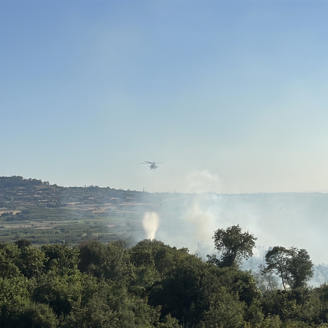 Çanakkale'de orman yangını (3)