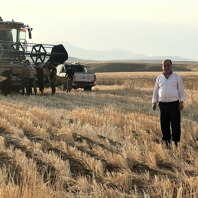 Başkale'de buğday hasadı başladı