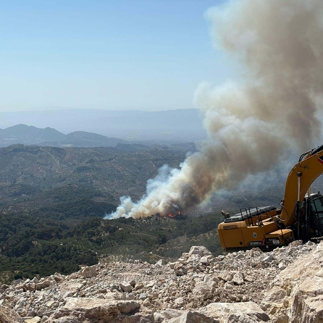 Aydın'da orman yangını