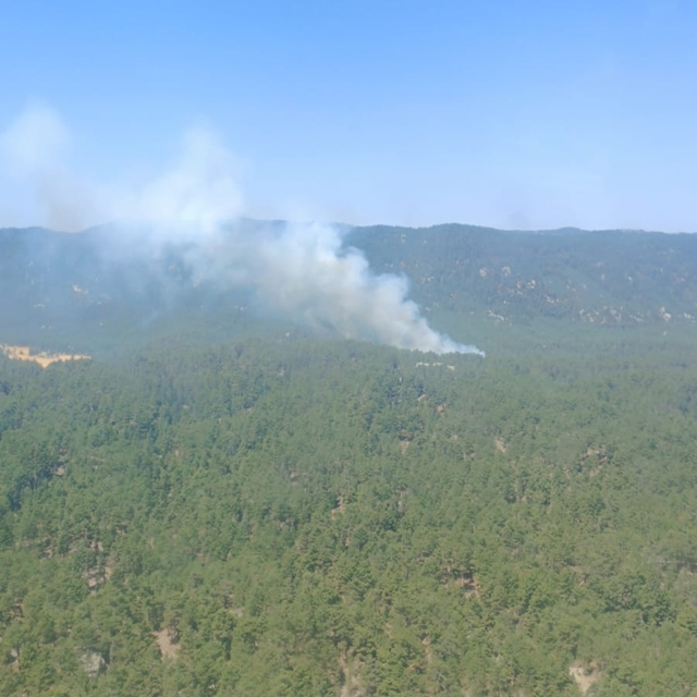 Mersin'de orman yangını