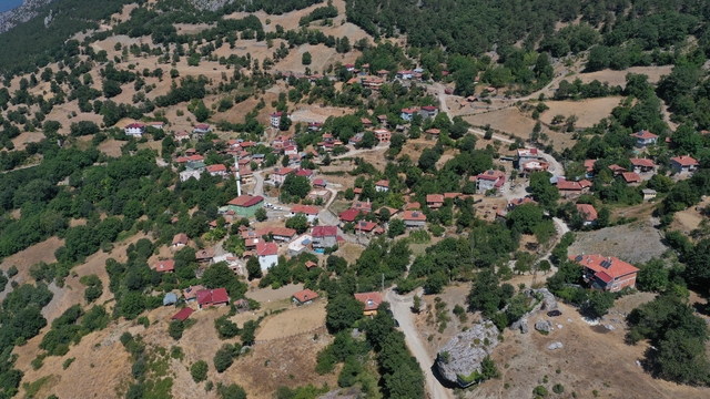 Galeri