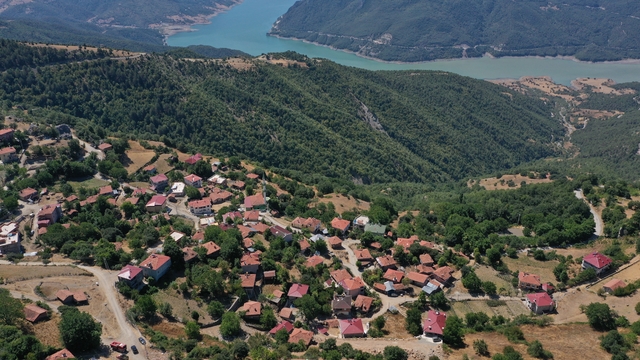 Galeri