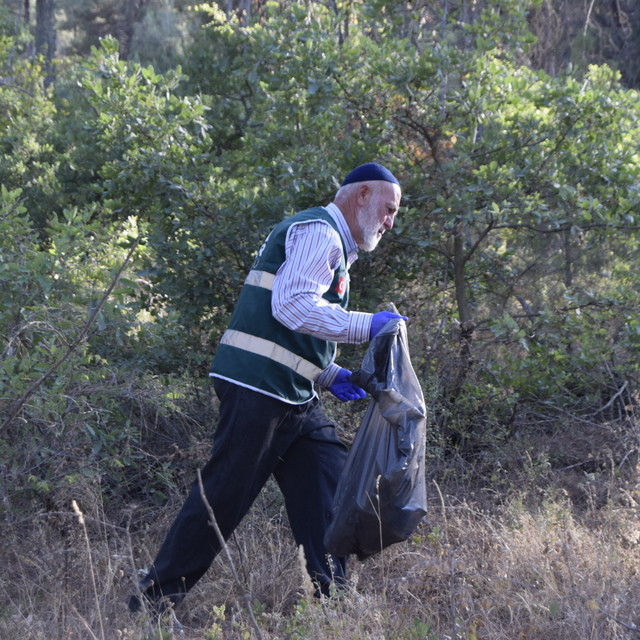 Amasya'da orman temizliği yapıldı