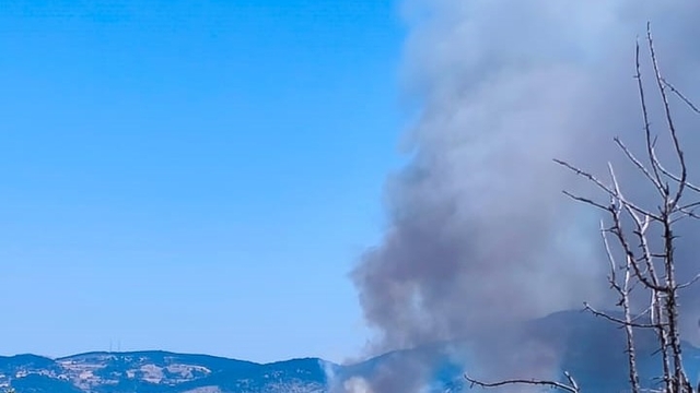 Bolu'da orman yangını