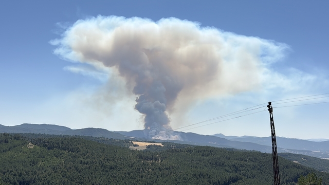 Bolu'da çıkan orman yangınına müdahale ediliyor