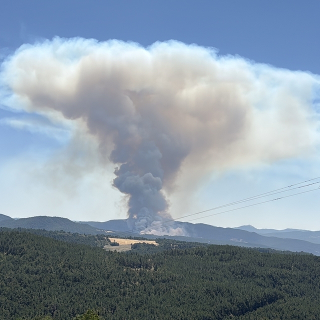 Bolu'da çıkan orman yangınına müdahale ediliyor