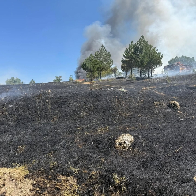Kastamonu'da orman yangını büyümeden söndürüldü