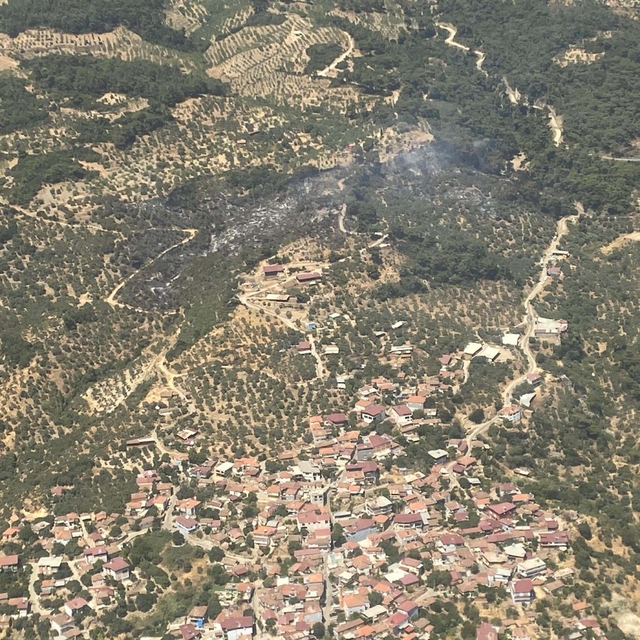Aydın'da orman yangını (2)