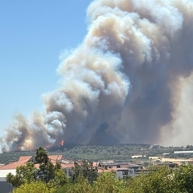 Çanakkale'de orman yangını