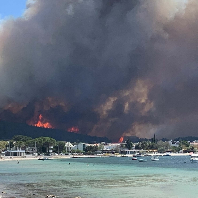 Çanakkale'de orman yangını (2)