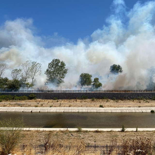 Çanakkale'nin Ayvacık ilçesinde çöplükte başlayan yangın ormana sıçradı
