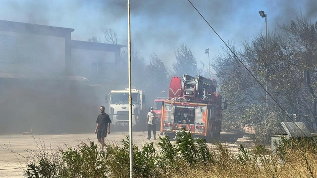 Çanakkale'de orman yangını (3)