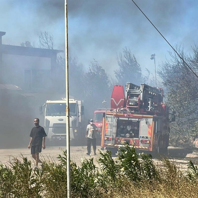 Çanakkale'de orman yangını (3)