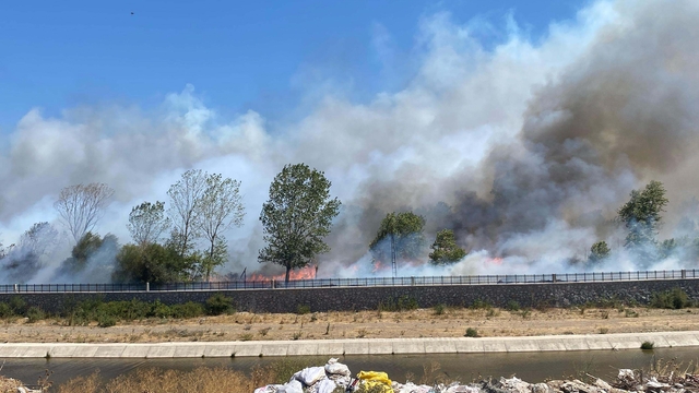 Çanakkale'de Ayvacık'ta da orman yangını çıktı