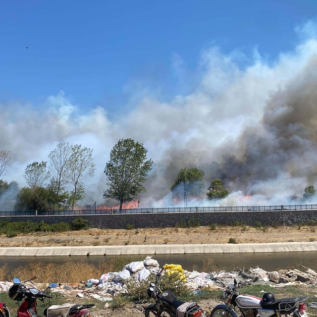 Çanakkale'de Ayvacık'ta da orman yangını çıktı