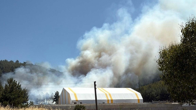 Soma'da orman yangını