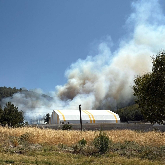 Soma'da orman yangını