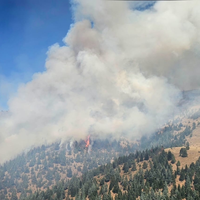 Kahramanmaraş'ta çıkan orman yangınına müdahale ediliyor