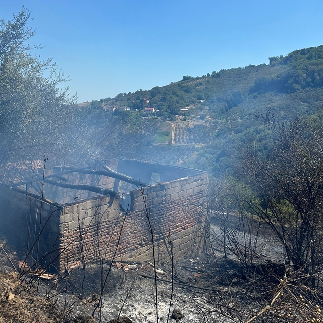 Samsun'da fındık bahçesinde çıkan yangın ormana sıçramadan söndürüldü