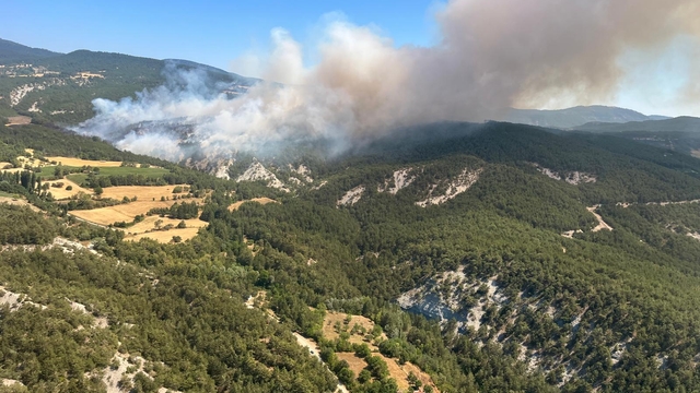 Bolu'da orman yangını (2)