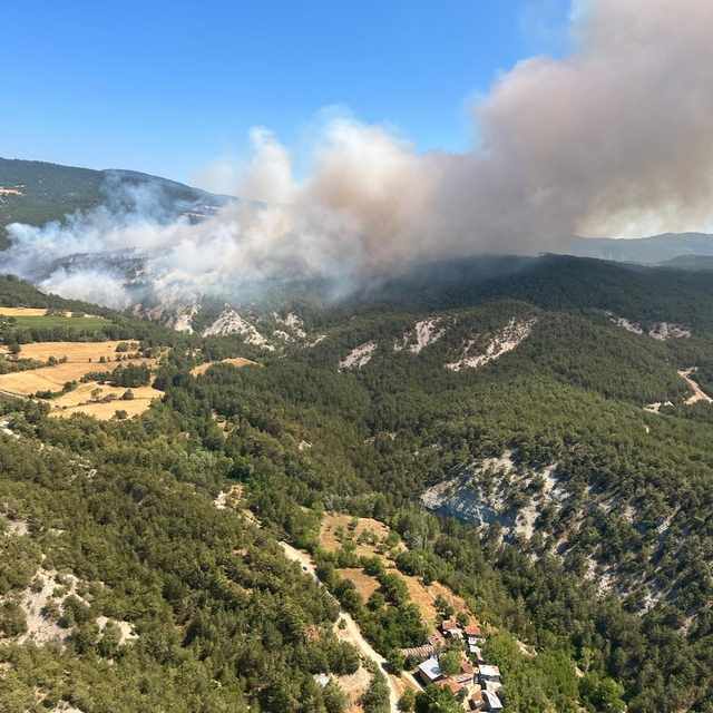 Bolu'da orman yangını (2)