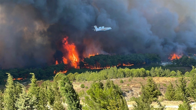 Çanakkale'de orman yangını (4)