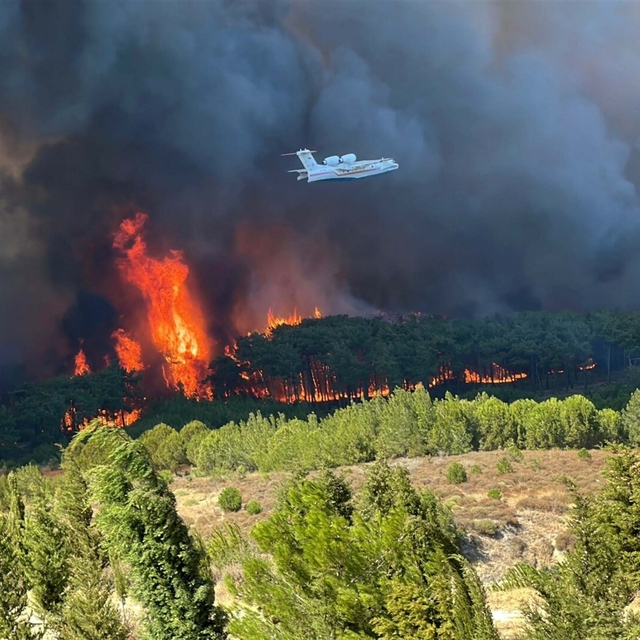 Çanakkale'de orman yangını (4)