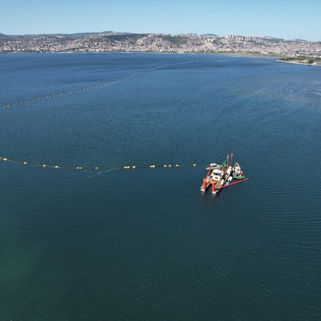 Dip çamuru temizliği yapılan İzmit Körfezi'nde balık popülasyonu yüzde 35 a...