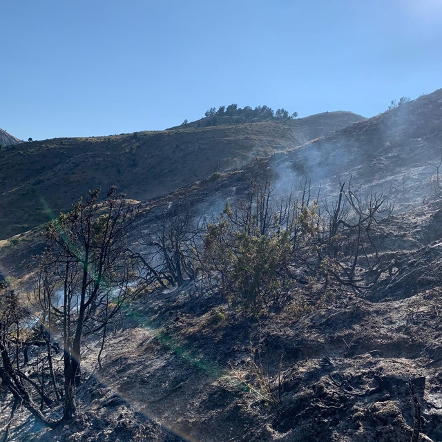 Erzurum'da çıkan örtü yangını söndürüldü