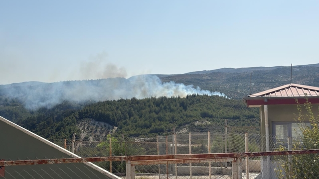 Hatay'da ormanlık alanda yangın çıktı