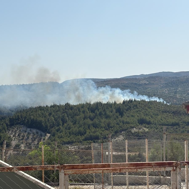 Hatay'da ormanlık alanda yangın çıktı