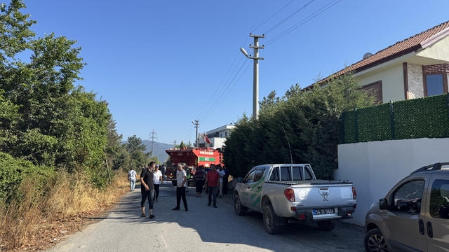 Sakarya'da yerleşim alanı yakınında çıkan orman yangını söndürüldü