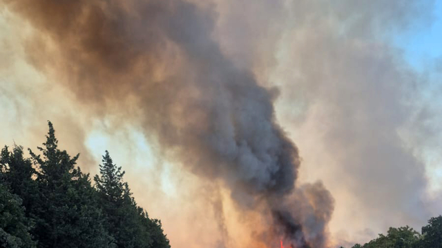 Edirne'de orman yangını
