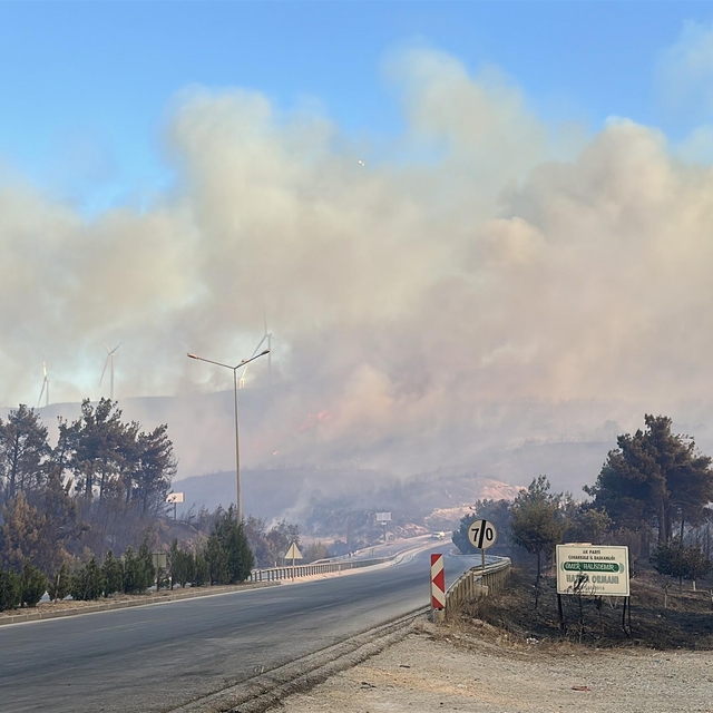 Çanakkale'de orman yangını (9)