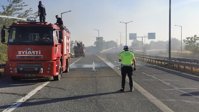 Kırklareli'nde çıkan anız yangını söndürüldü