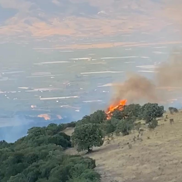 Manisa'da tarladaki yangın, makiliğe sıçradı