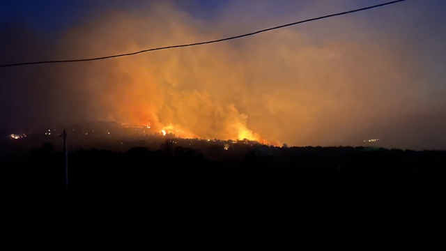 Çanakkale'de orman yangını (11)