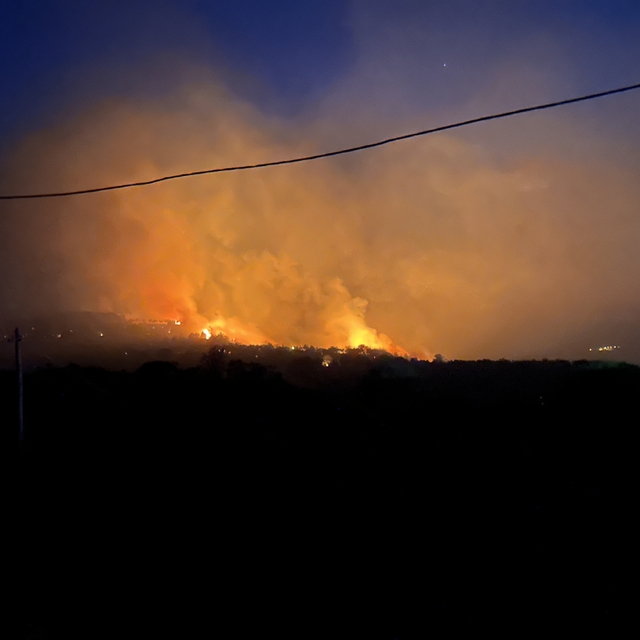 Çanakkale'de orman yangını (11)